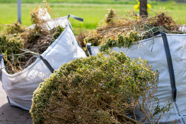 Best Same-Day Junk Removal  in Mariemont, OH